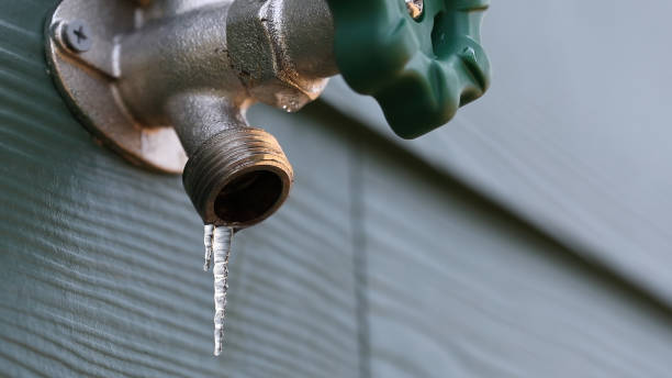 Best Septic Systems  in Samsula Spruce Creek, FL